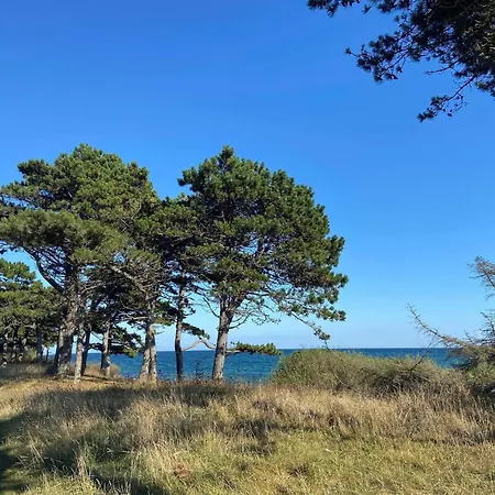 7 Person In Knebel-by Traum